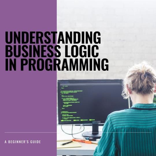 What is business logic in programming