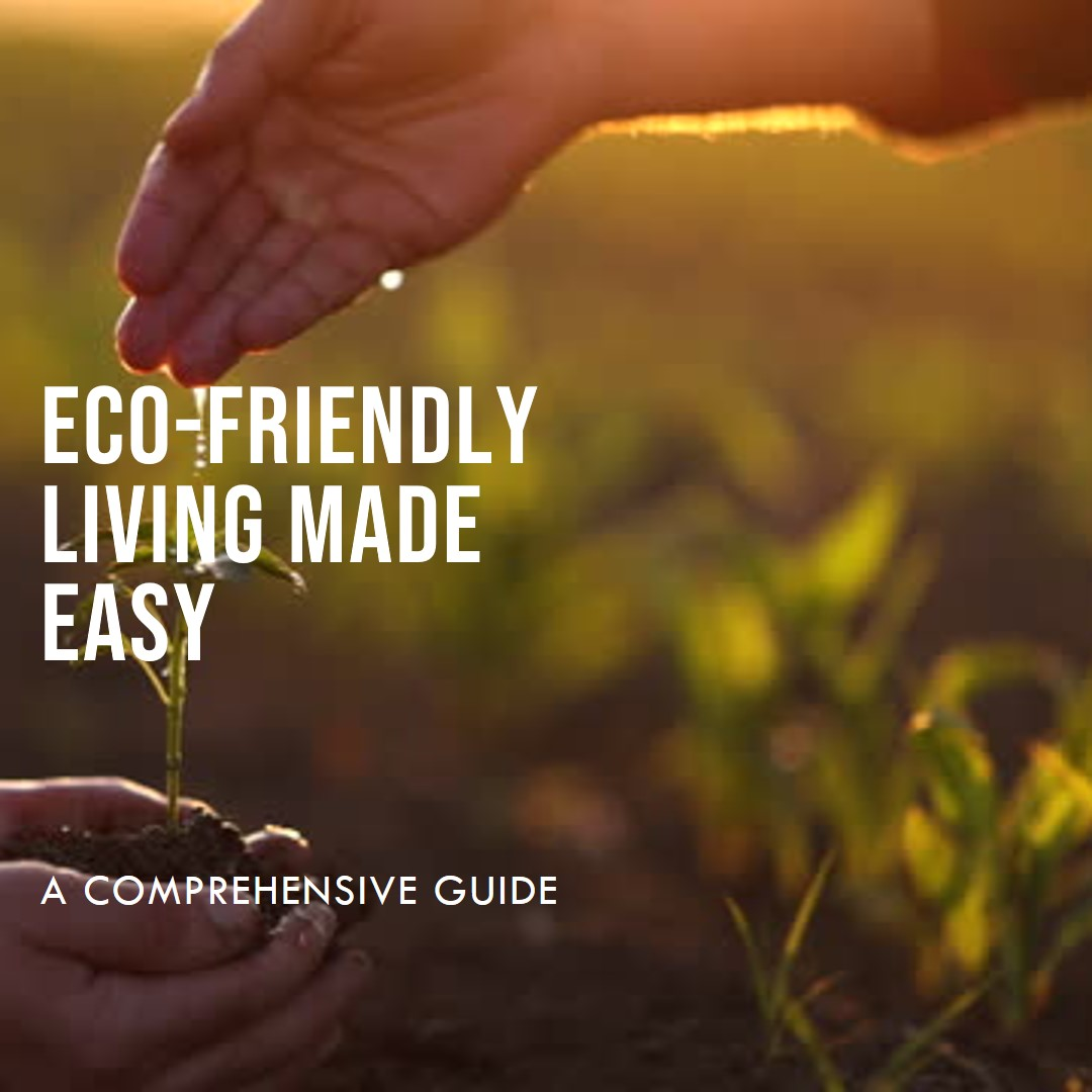 Eco Friendly Guide on Strategies for a Sustainable Lifestyle